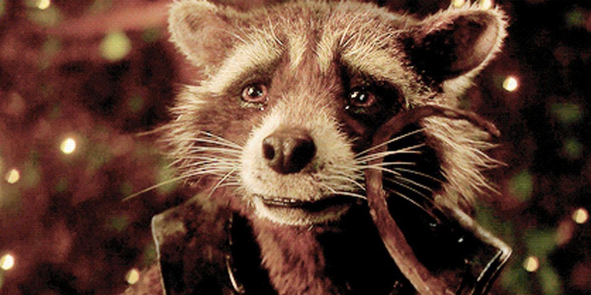 An image of a tearful Rocket Raccoon from the MCU is shown.
