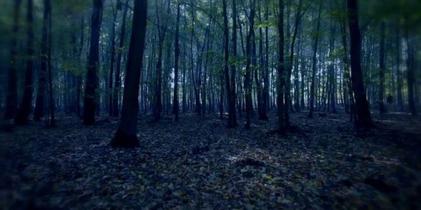 A still of the forests in Terror in the Woods