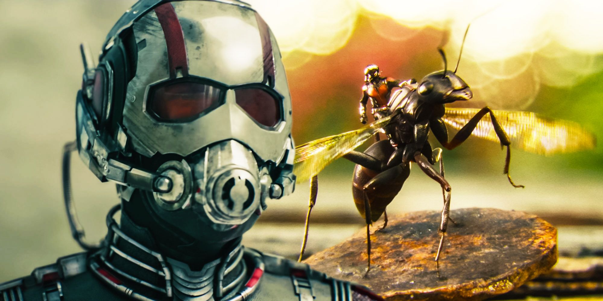 Antman Ant-thony nome original