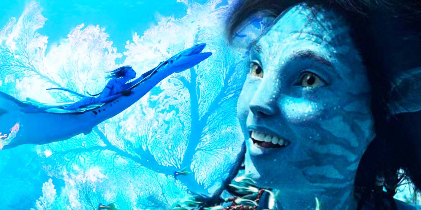 Avatar 3 Now Has The Strangest Underwater Movie Competition