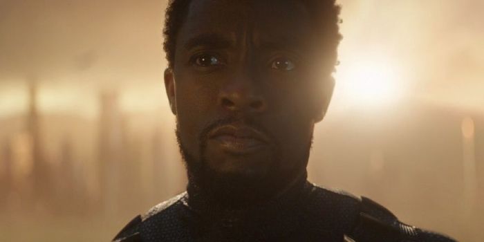 Black Panther King T'Challa
