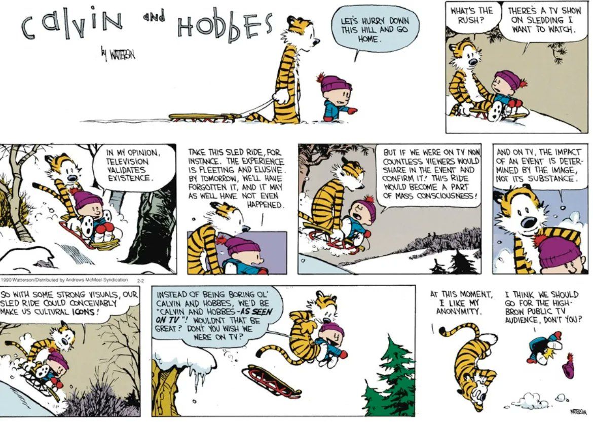 Calvin and Hobbes sunday comic, the pair are sledding down a hill talking about television before ultimately crashing. 