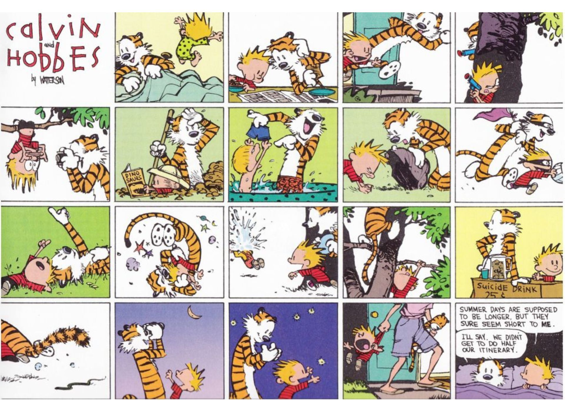 Calvin e hobbes um itinerário de dia inteiro