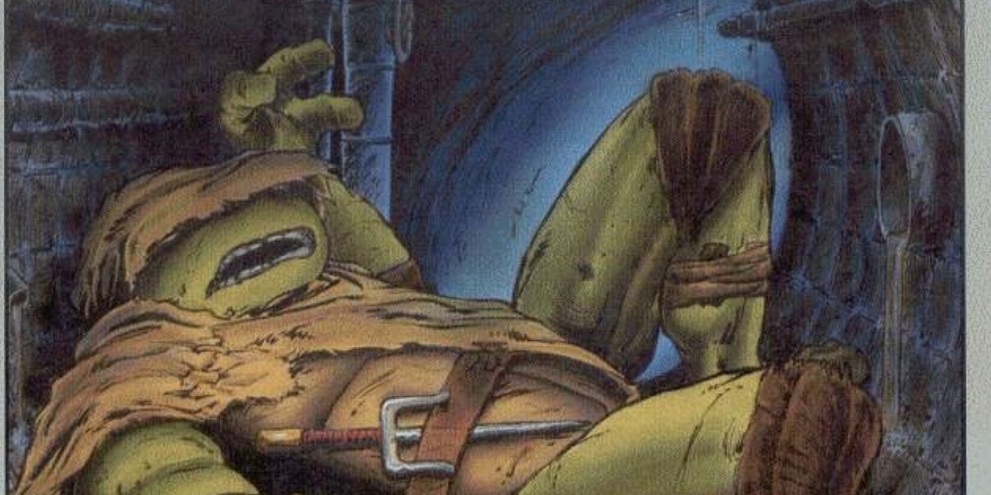 A ninja turtle sleeps in a sewer in Teenage Mutant Ninja Turtles comics.