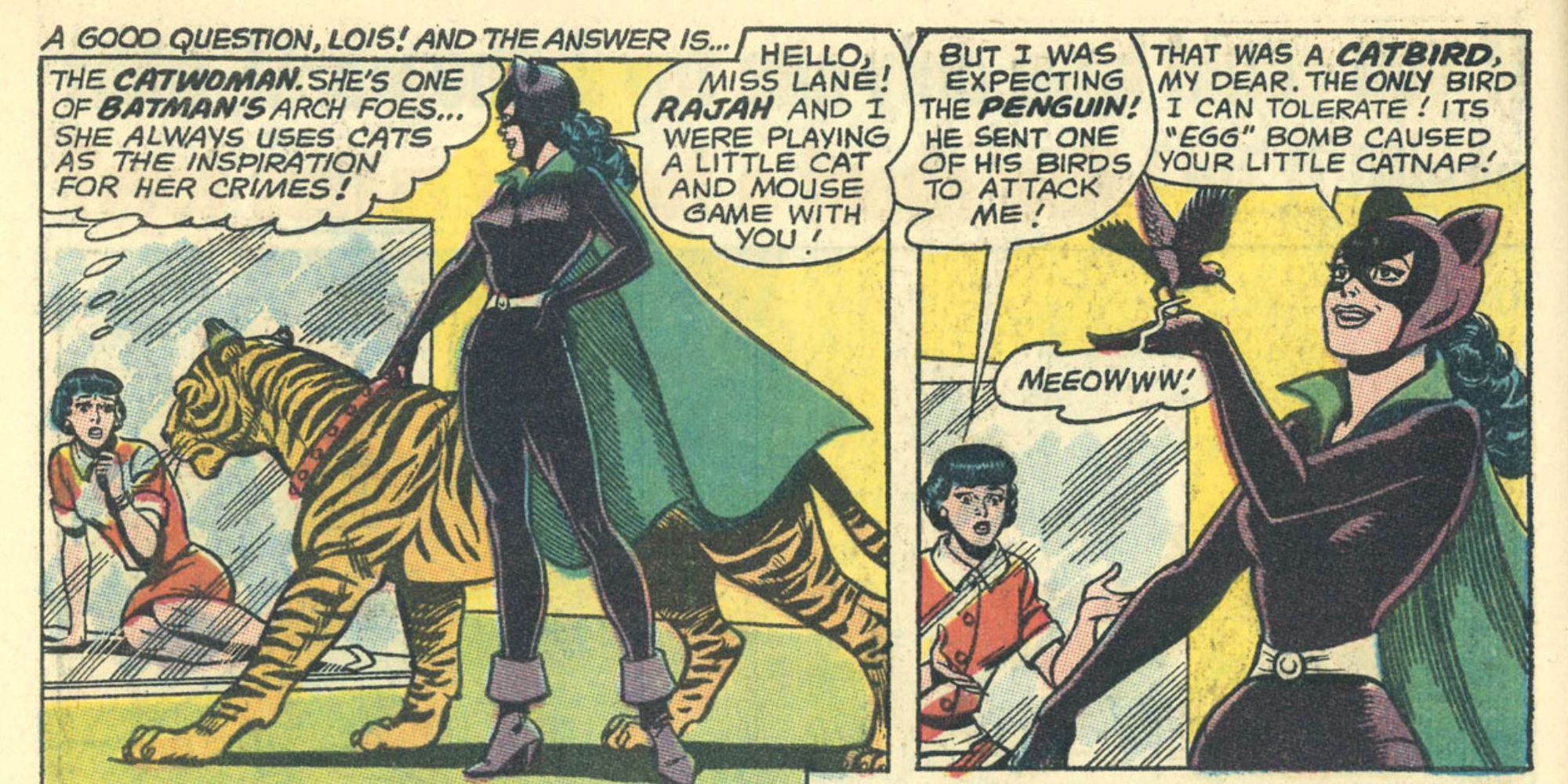 Catwoman captura Lois Lane na DC Comics.