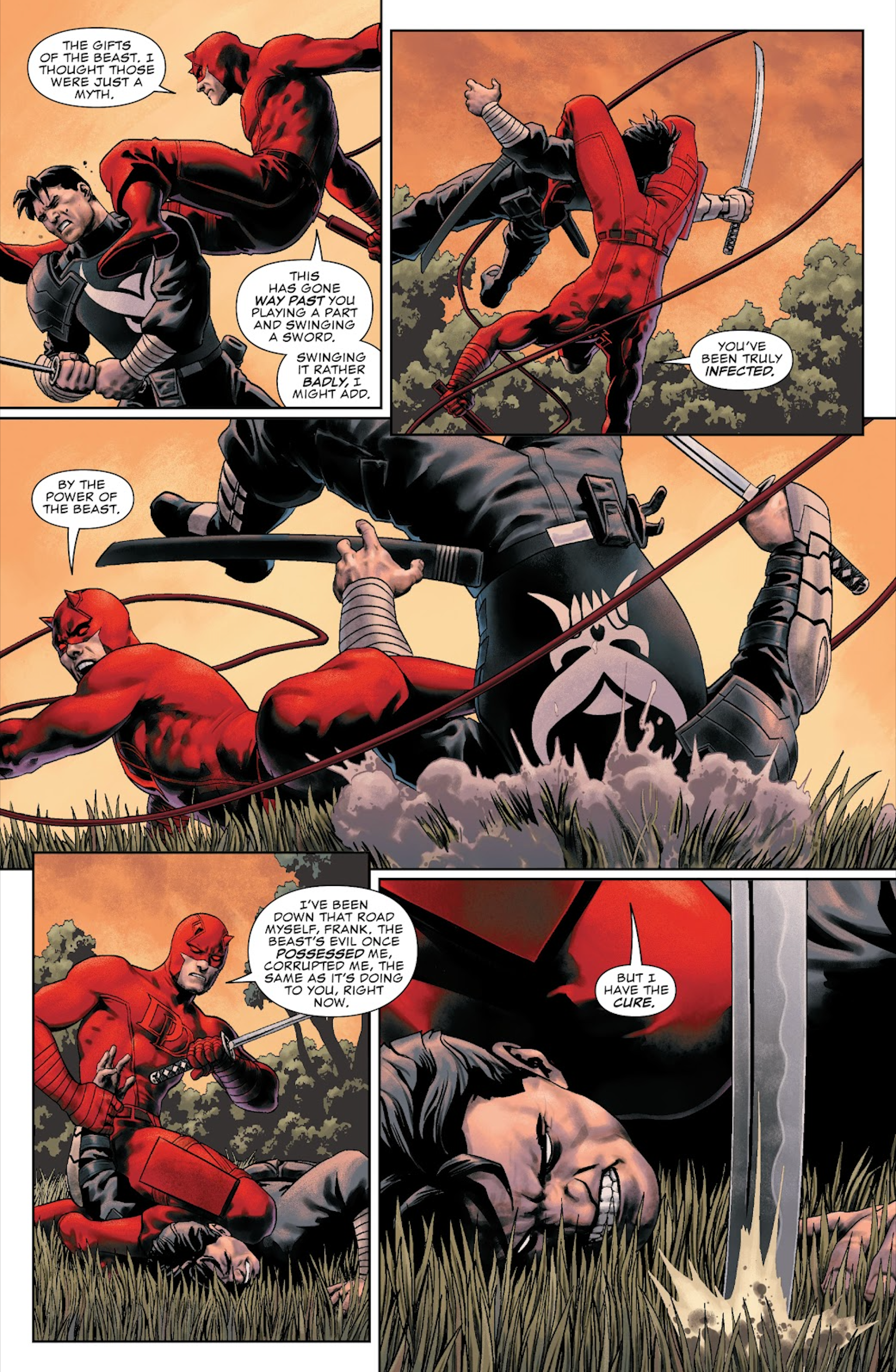 Daredevil and Punisher fight