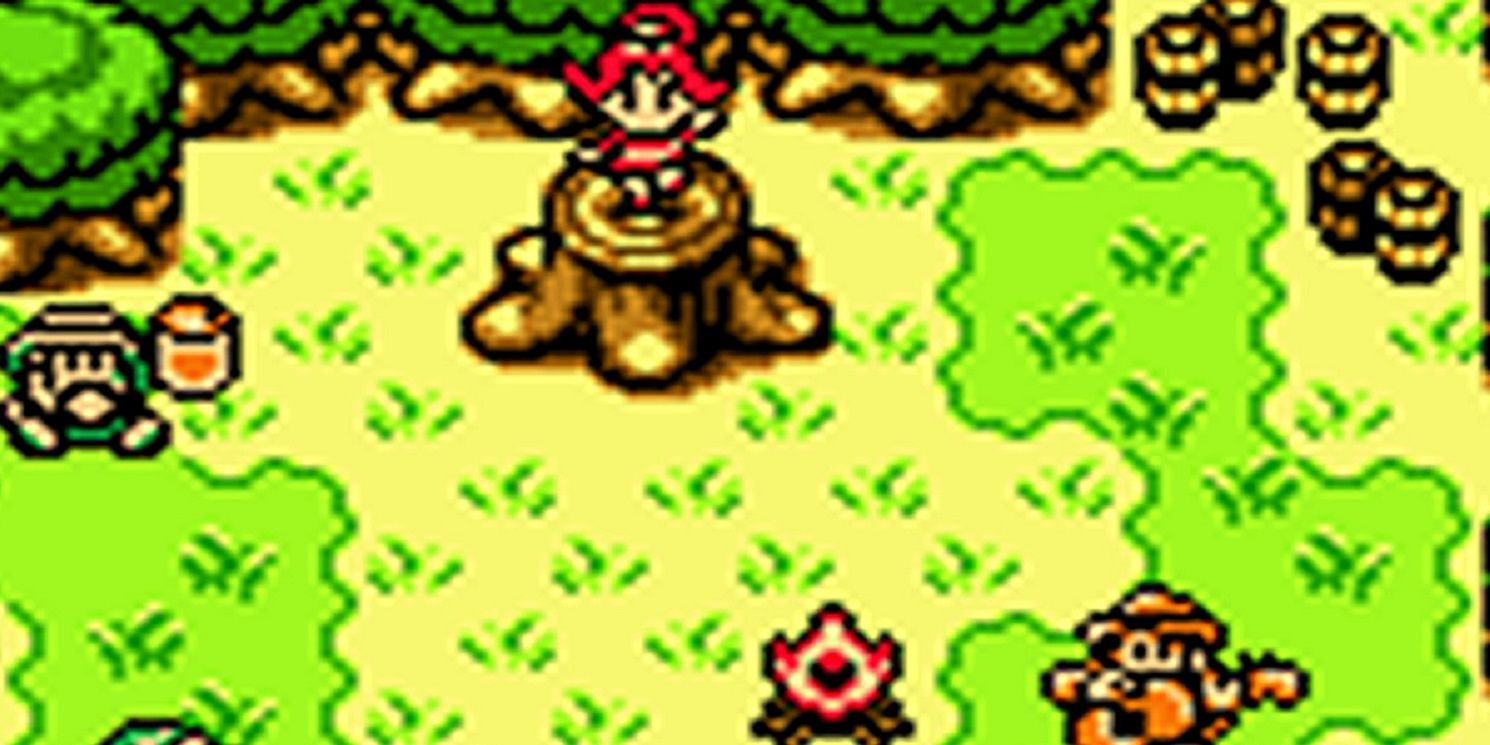Din on a stump in Oracle Of Seasons.