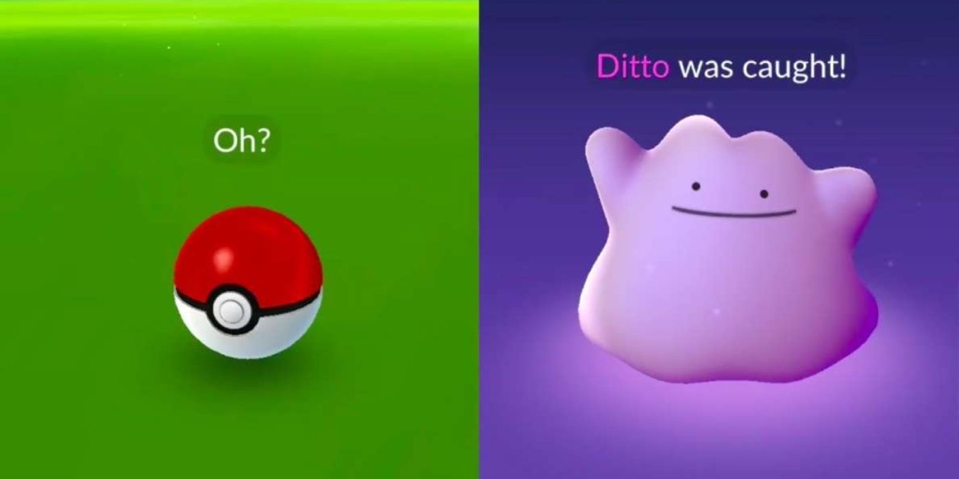 Ditto pokemon go