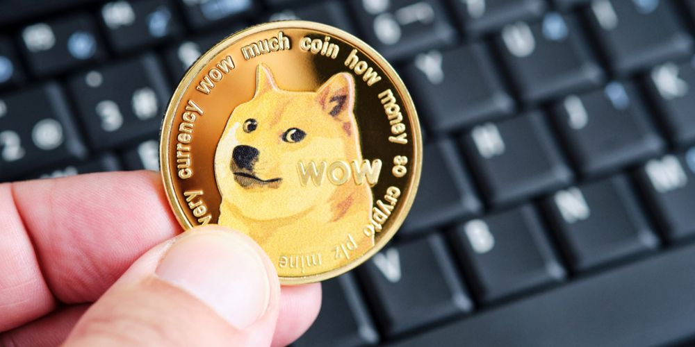 A Dogecoin is help up