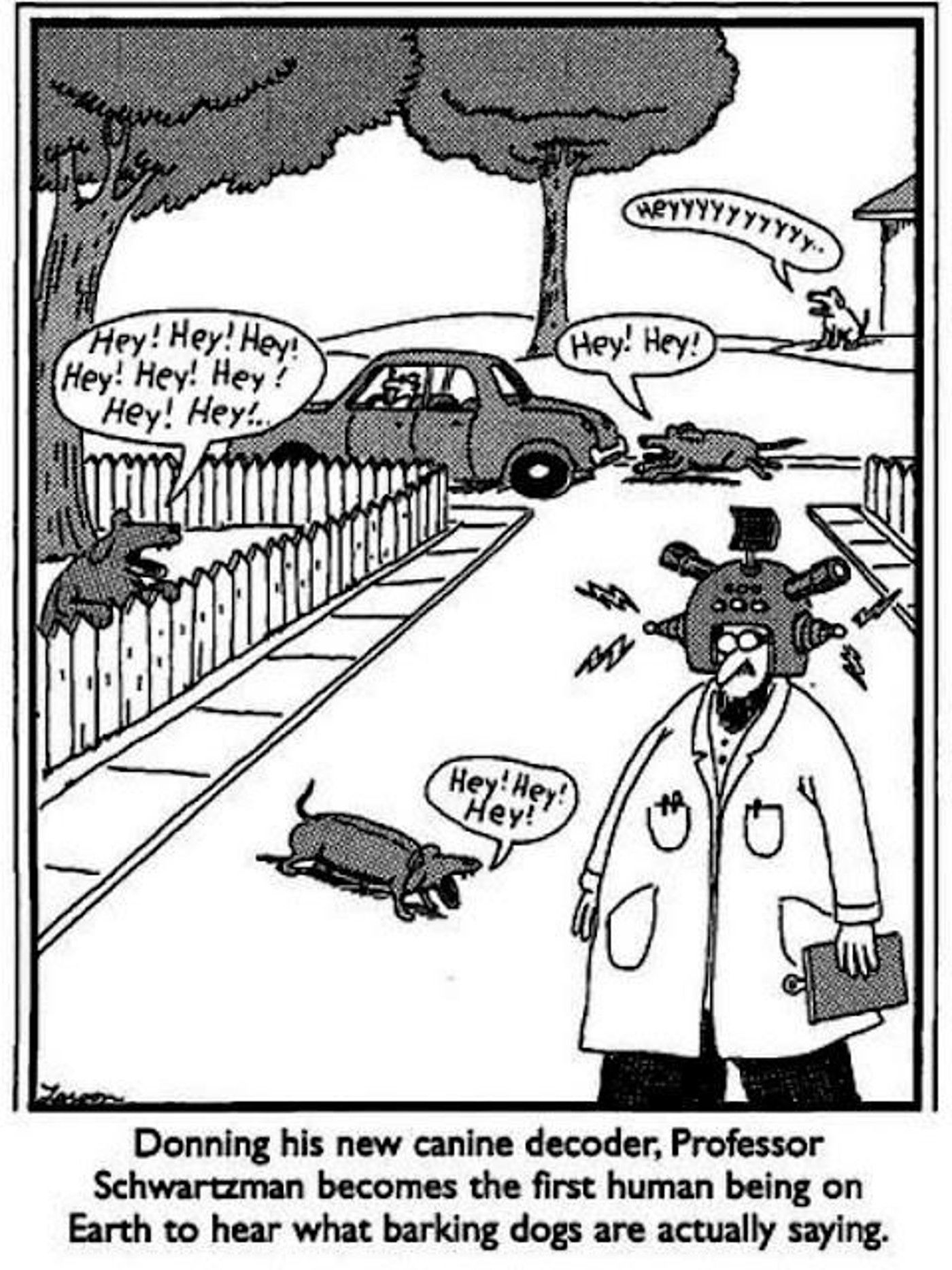The Far Side, Professor wearing helmet to translate dog speech realizes they're all just saying "hey"