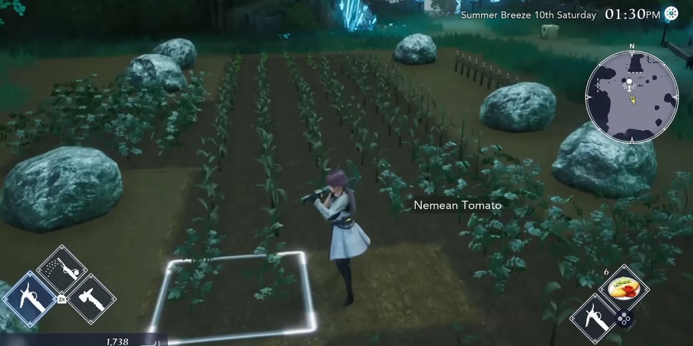 Harvestella The Best Summer Crops to Plant