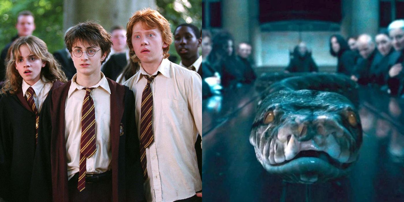 Horcruxes In Harry Potter The Most Heartbreaking Truths - xq44d1j