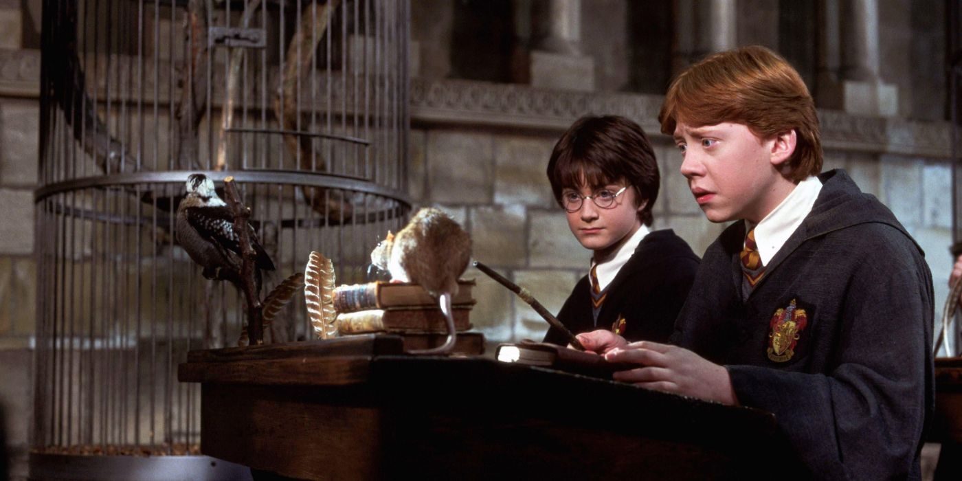 Harry e Ron na aula de Transfiguração em Harry Potter