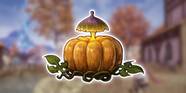 Harvestella The Best Fall Crops To Plant