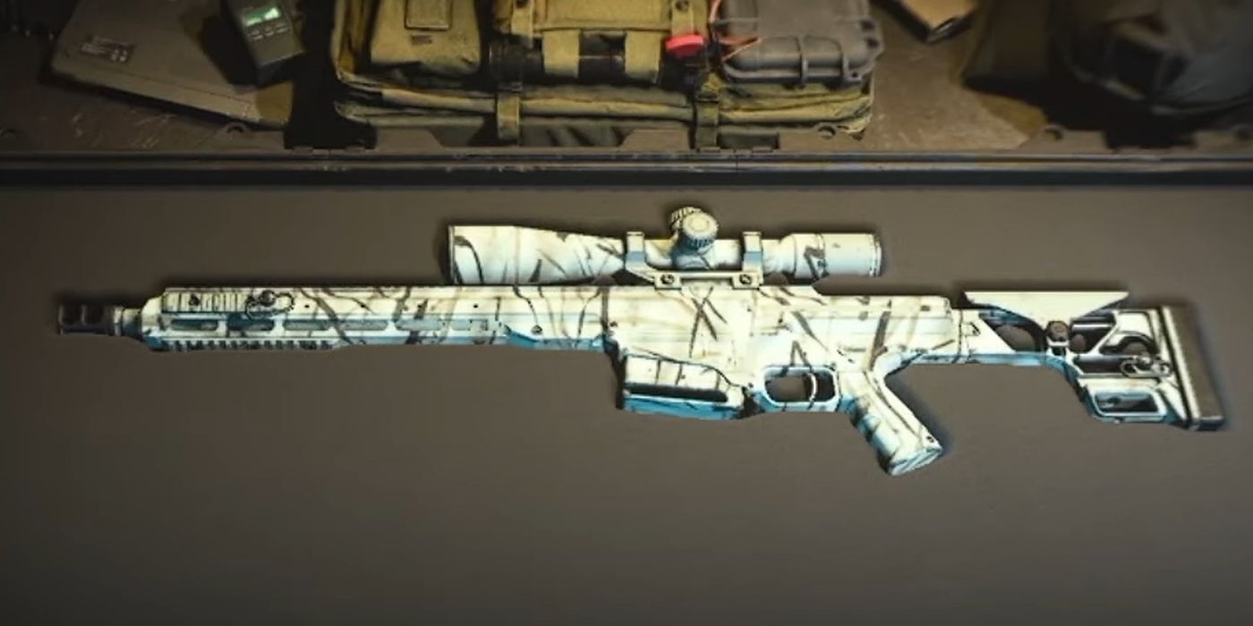 MCPR-300 with Weapon Camo in a Gun Case in MW2