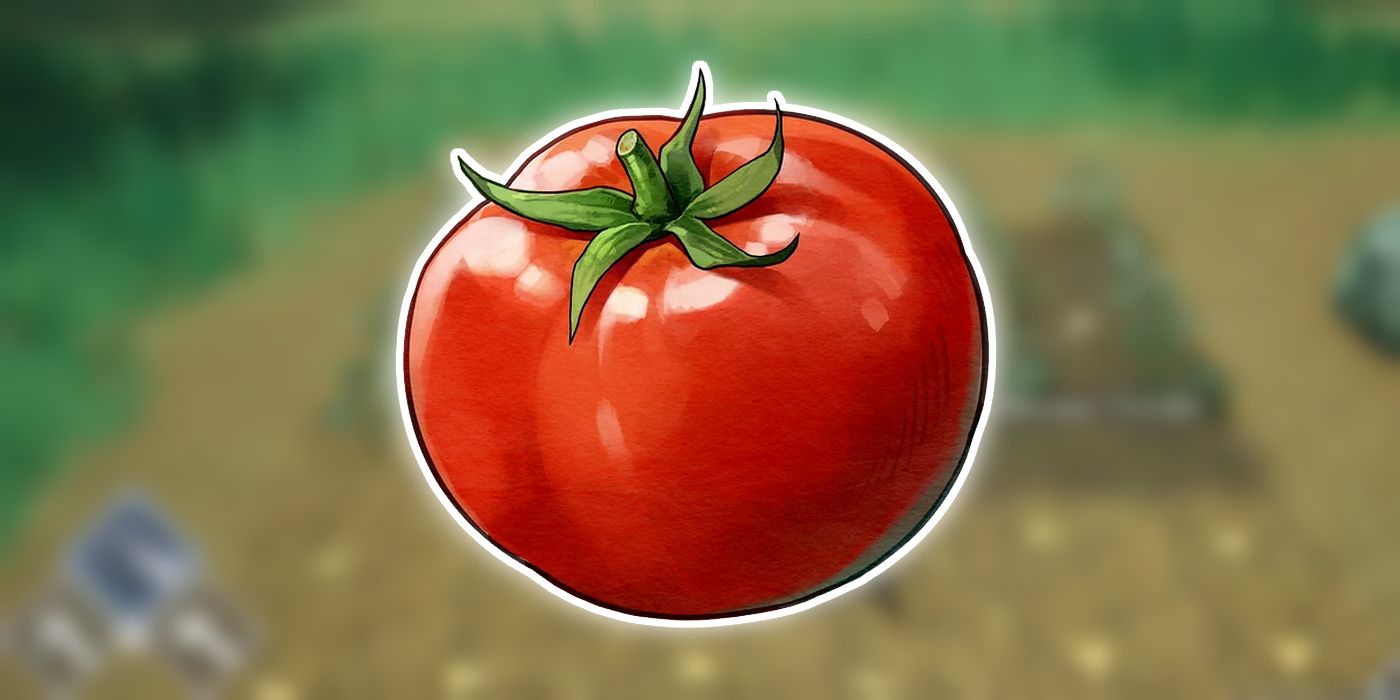 Nemean Tomato in Harvestella