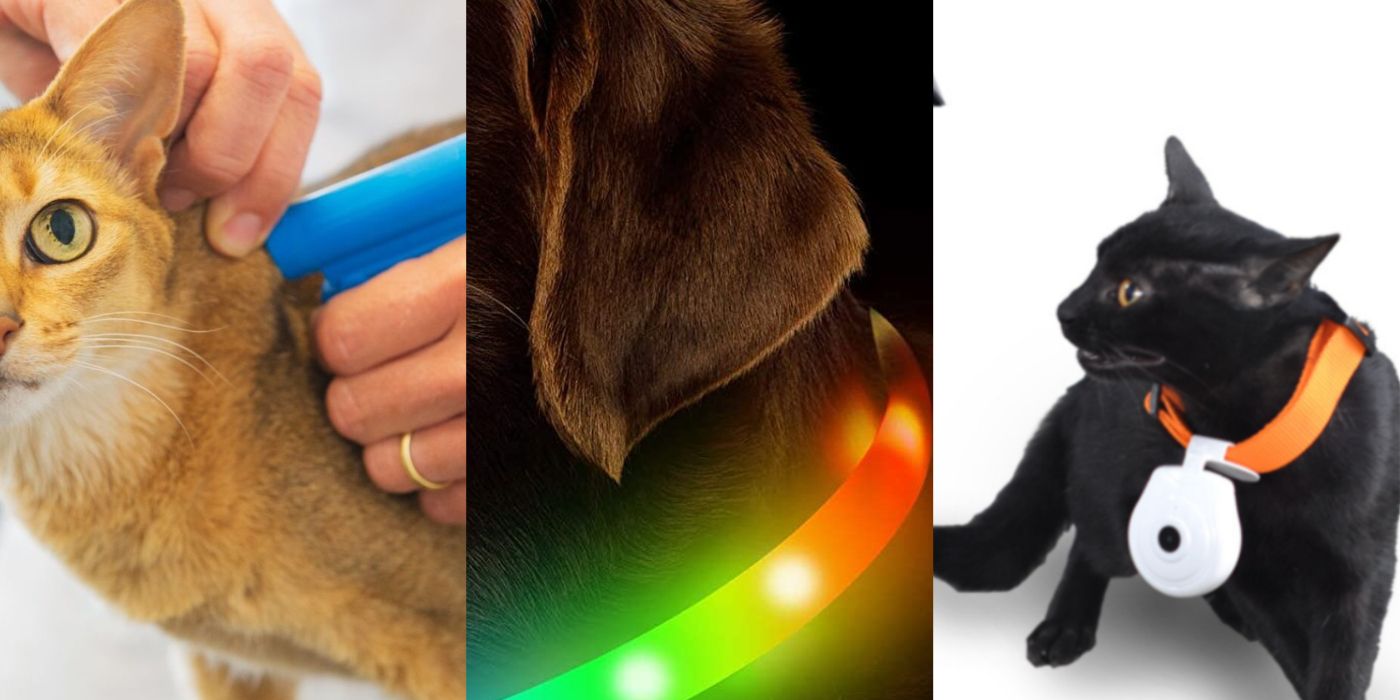 Animals fitted with Pet-safe gadgets