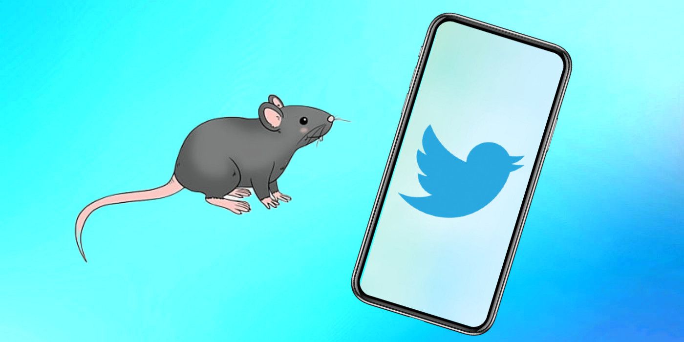 Rat emoji with Twitter logo on smartphone