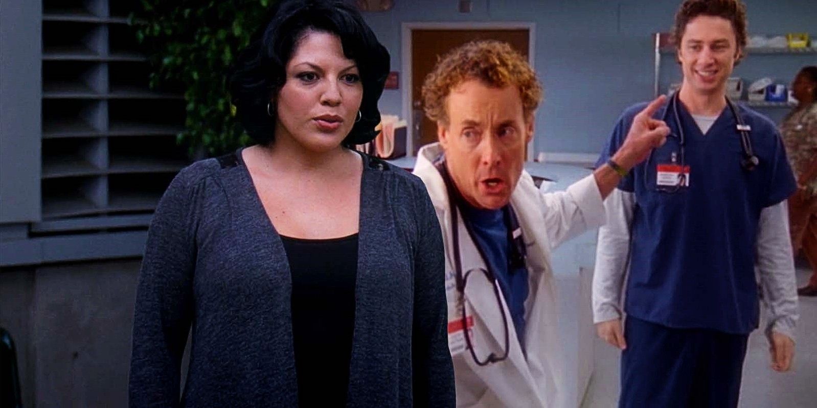 Sara Ramirez as Calliope Torres in Greys Anatomy season 7 episode 18, John C. McGinley as Dr. Cox, and Zach Braff as JD in Scrubs season 6 episode 6