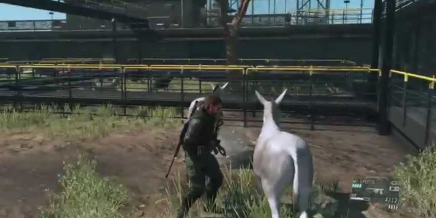 Snake in the petting zoo in Metal Gear Solid V