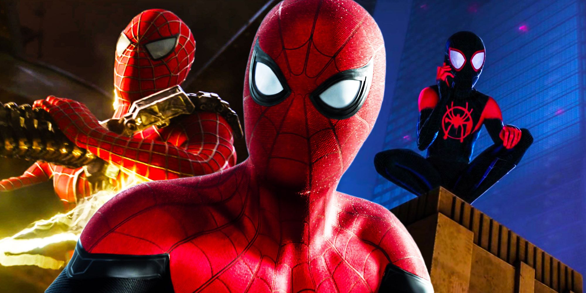 Spiderman no way tom holland tobey maguire home into the spiderverse miles