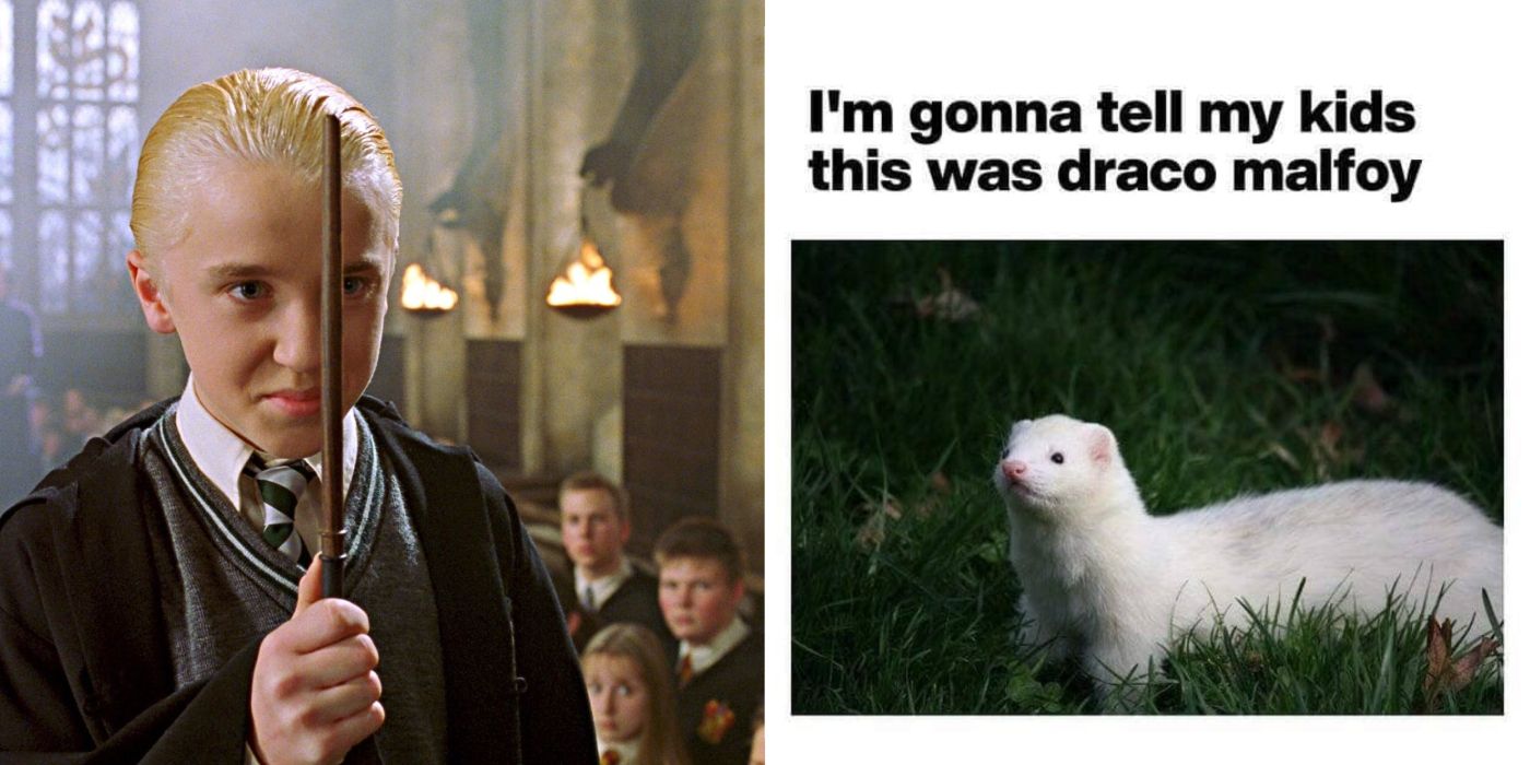 Split image of Draco Malfoy holding his wand in front of his face before dueling and a meme of a white ferret