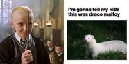 Memes Draco Malfoy Draco Malfoy Memes GIFs Imgflip Memes Draco Malfoy Draco Malfoy Memes GIFs Imgflip