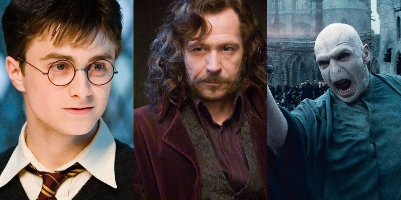 Harry Potter: 10 Most Risk-Taking Wizards, Ranked By Recklessness