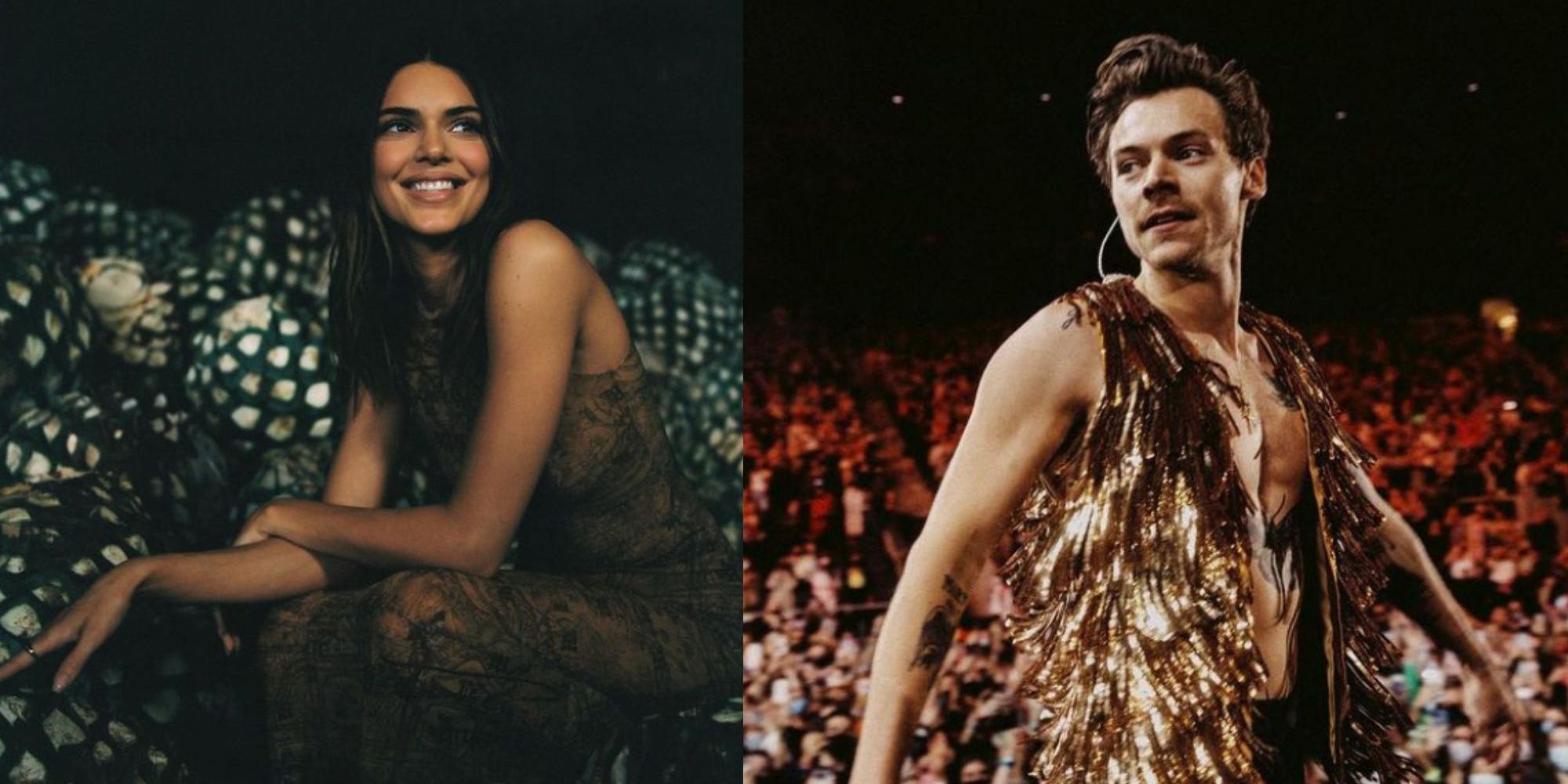 Harry Styles Fans Think He Blew A Kiss To Kendall Jenner At Concert