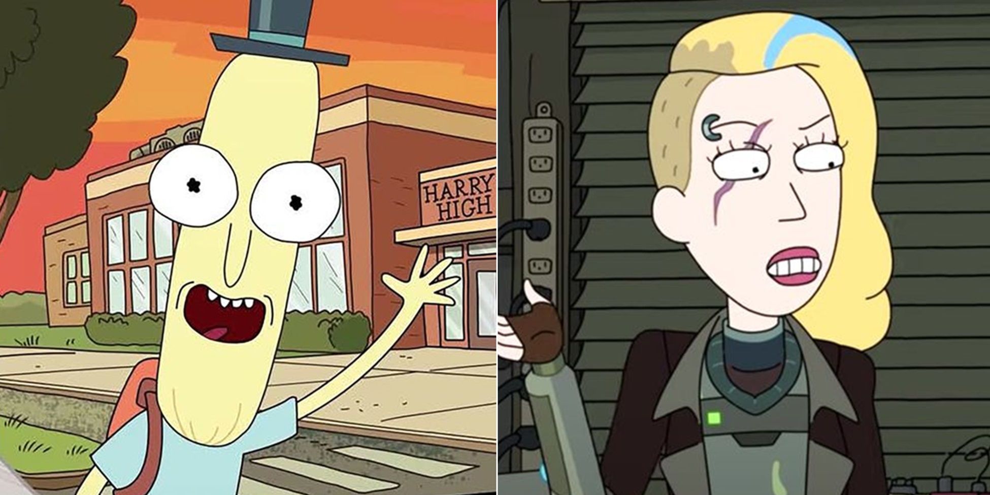 Rick And Morty: 10 Best Characters Introduced After Season 1