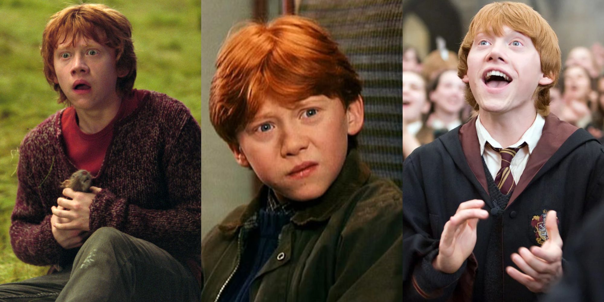 Harry Potter: 10 Biggest Dreams Ron Had In The Books That Came True By The End