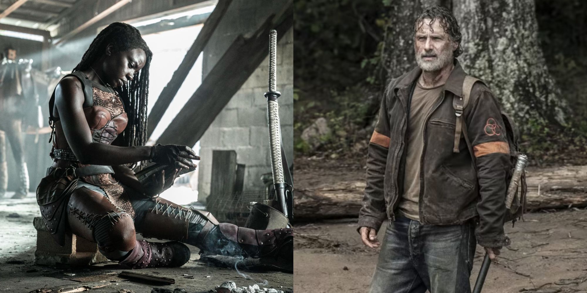 The Walking Dead: 8 Burning Questions The Rick-Michonne Spinoff Must Answer