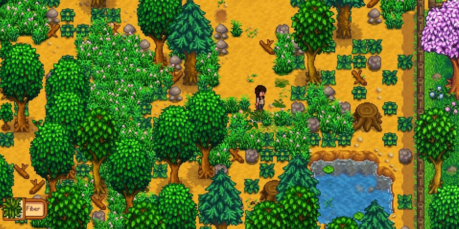 Stardew Valley Year One Guide (Crops, Mining & Upgrades)
