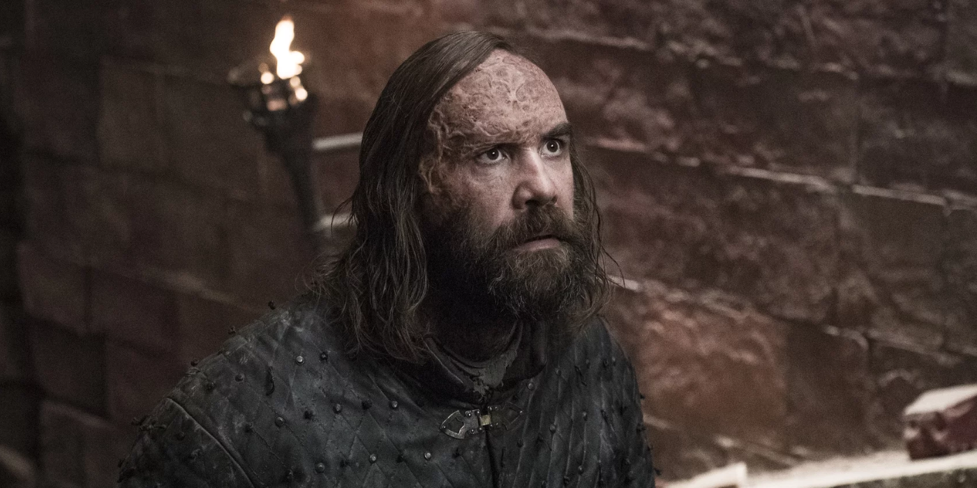 The Hound looking sad in Game of Thrones.