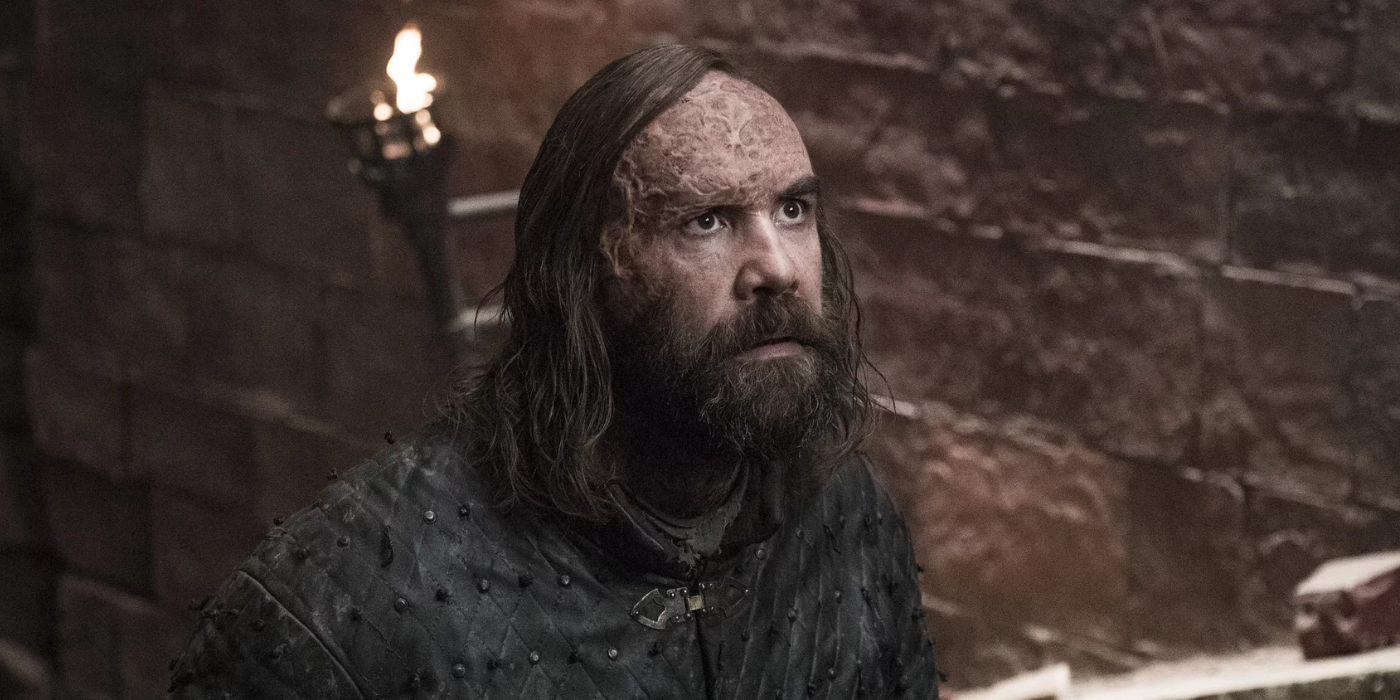 The Hound looking sad in Game of Thrones. 