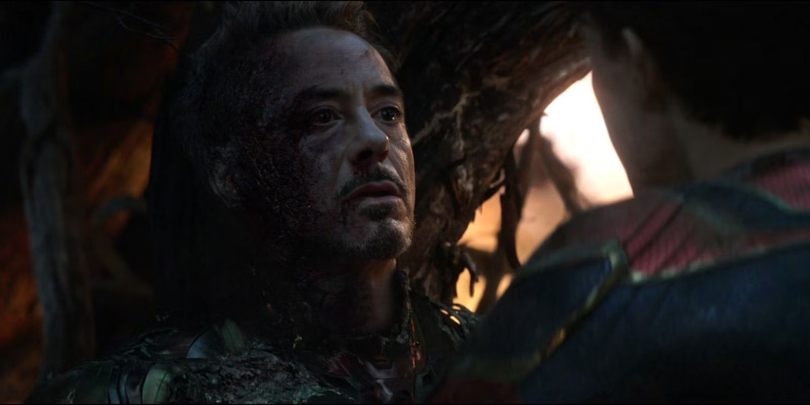 Tony Stark dies on the battlefield in Avengers Endgame