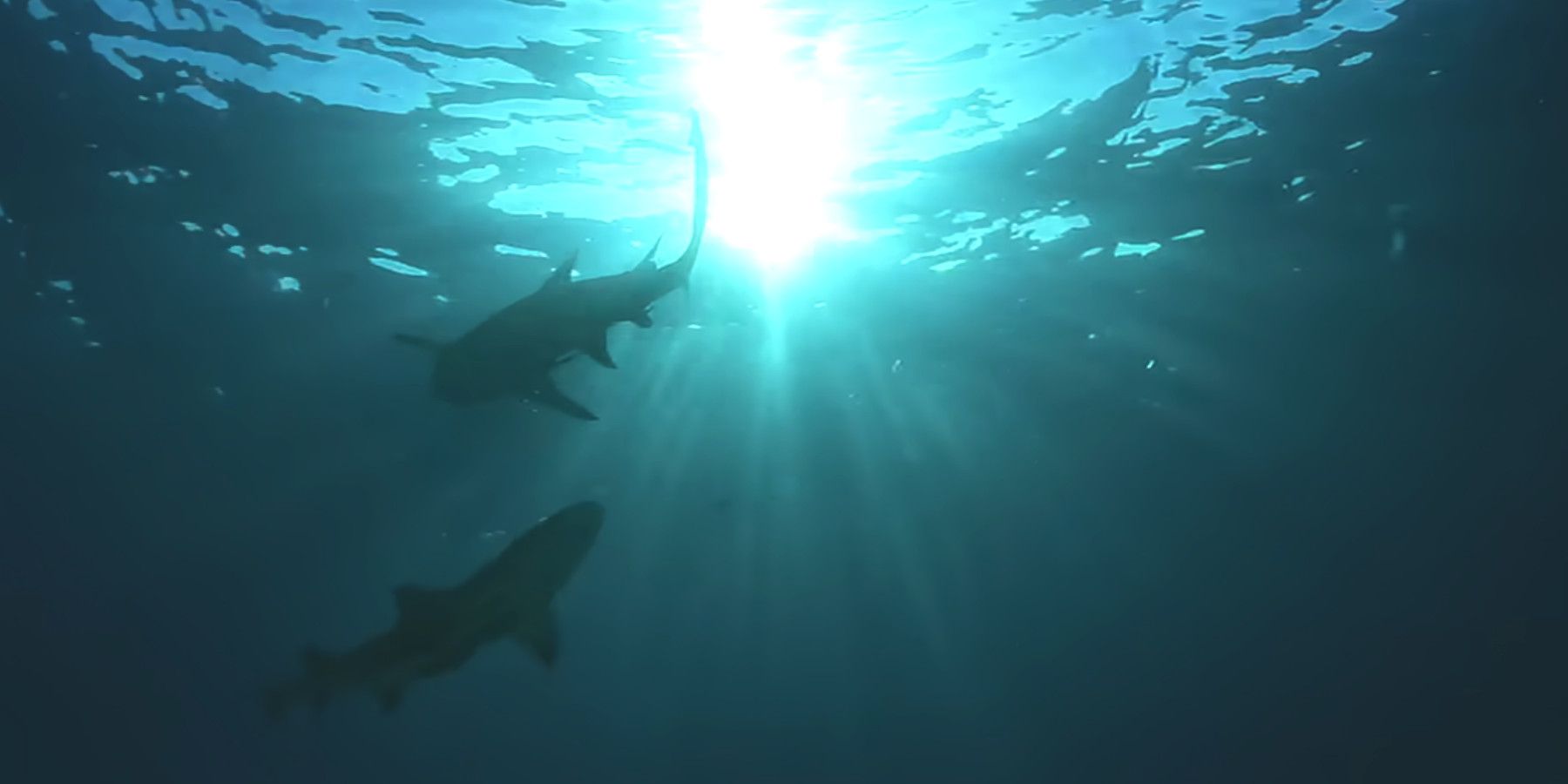 Was Patrick Mullins Murdered? All Evidence In Unsolved Mysteries Explained