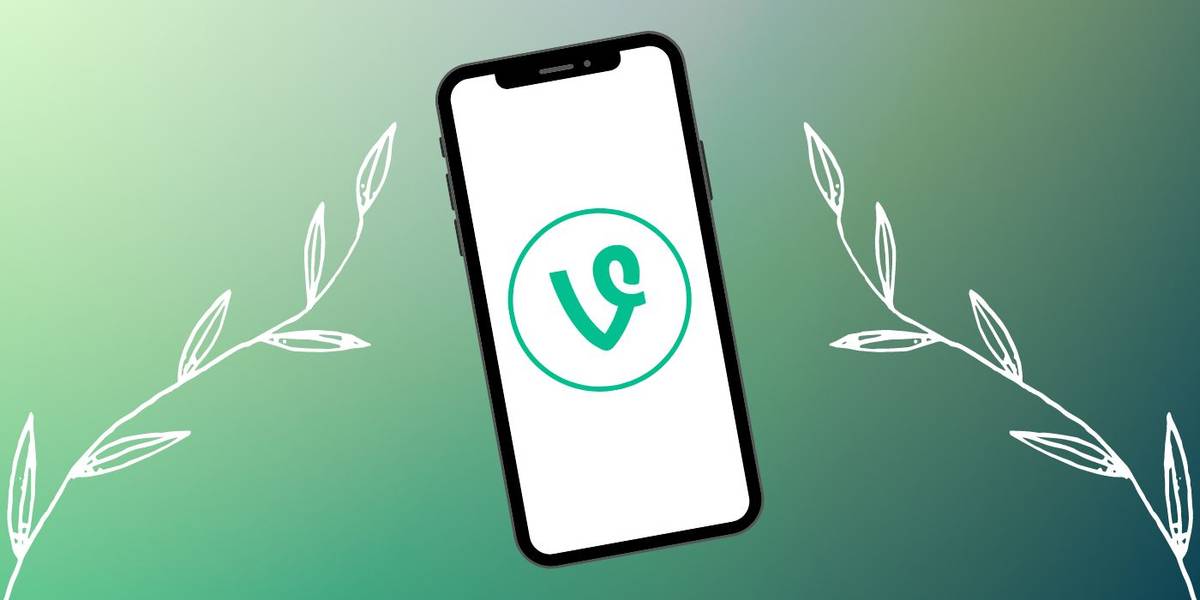 What Is Vine? A Brief History Of The Short Video App
