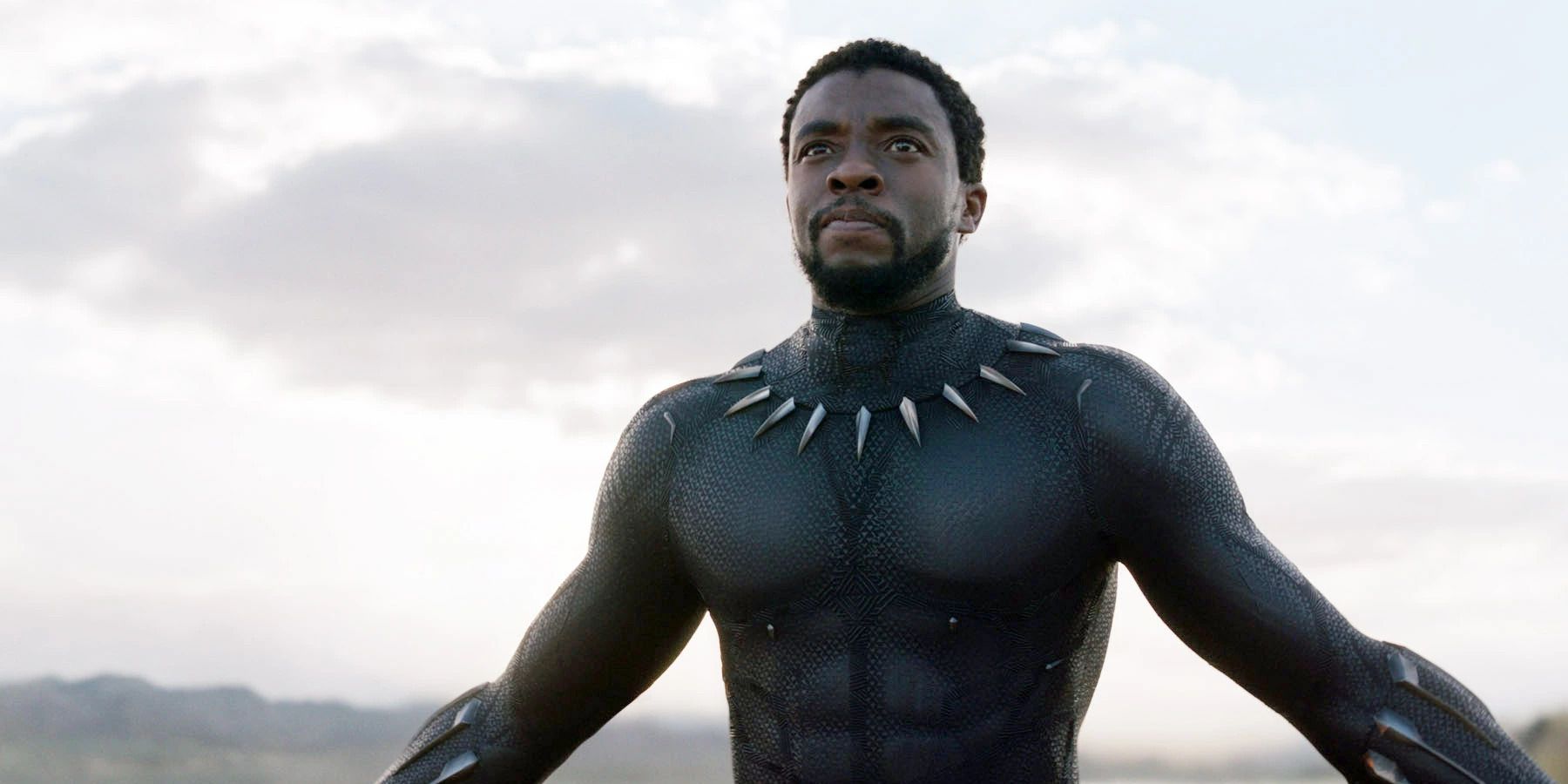 T&rsquo;Challa opens his arms wide in Black Panther