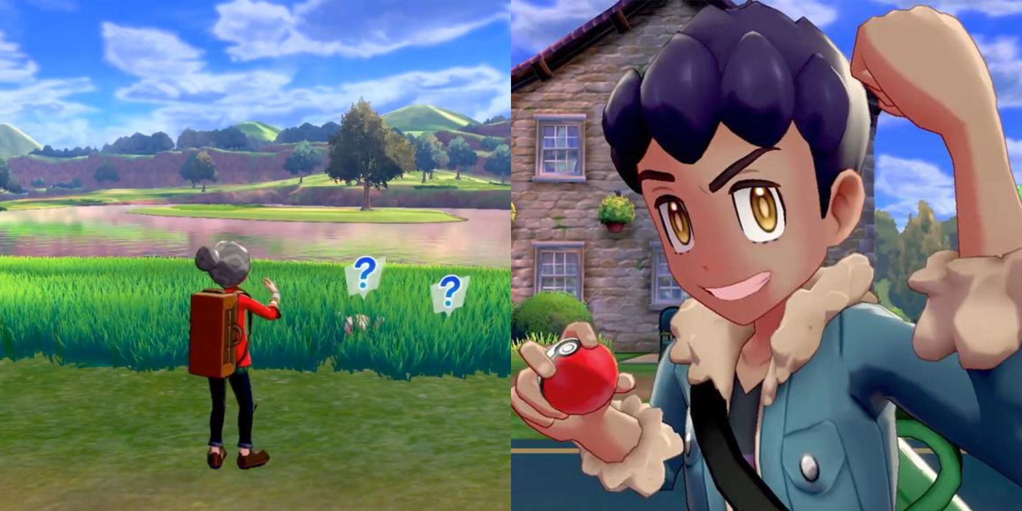 Split image showing Victor in the Wild Area and Hop in Pokémon Sword & Shield.