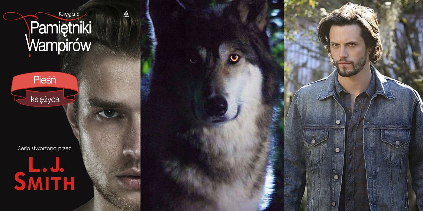 Imagem dividida de Zander da capa polonesa de TVD: Moonsong e Jackson Kenner nas formas de lobo e humana de The Vampire Diaries