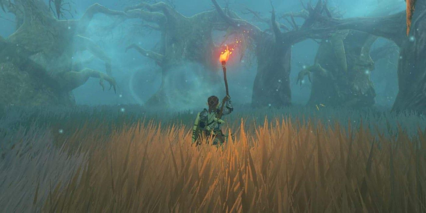 Zelda: Botw Player Discovers Hidden Reference In Lost Woods