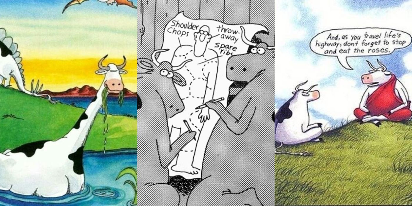  A split image of Far Side comics featuring cows