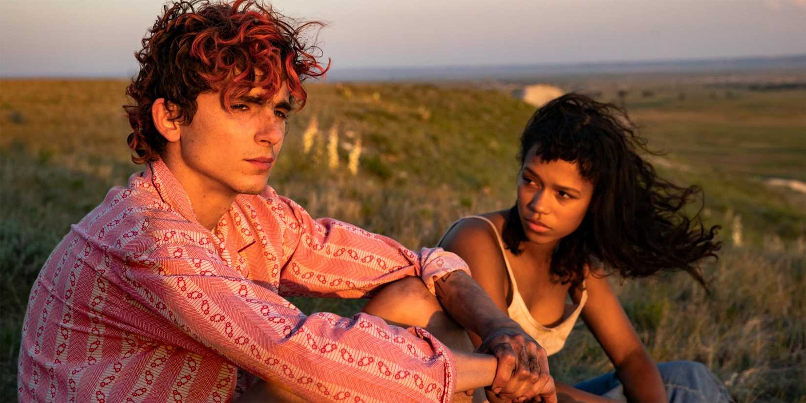 Timotee Chalamet and Taylor Russell sitting on a hillside in Bones and All