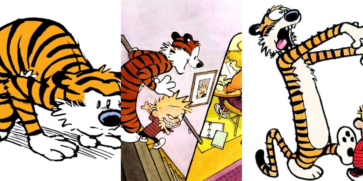 10 Calvin And Hobbes Comics That Sum Up Hobbes As A Character