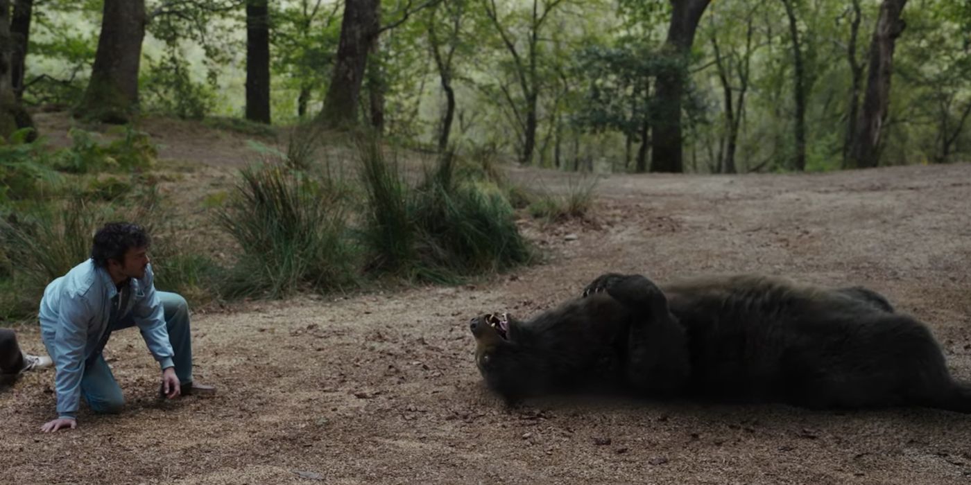 Ainda do trailer do urso de cocaína