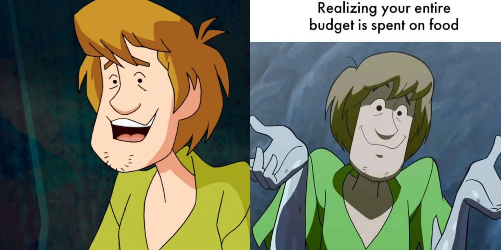 Scooby Doo 10 Memes That Perfectly Sum Up Shaggy As A Character 2338