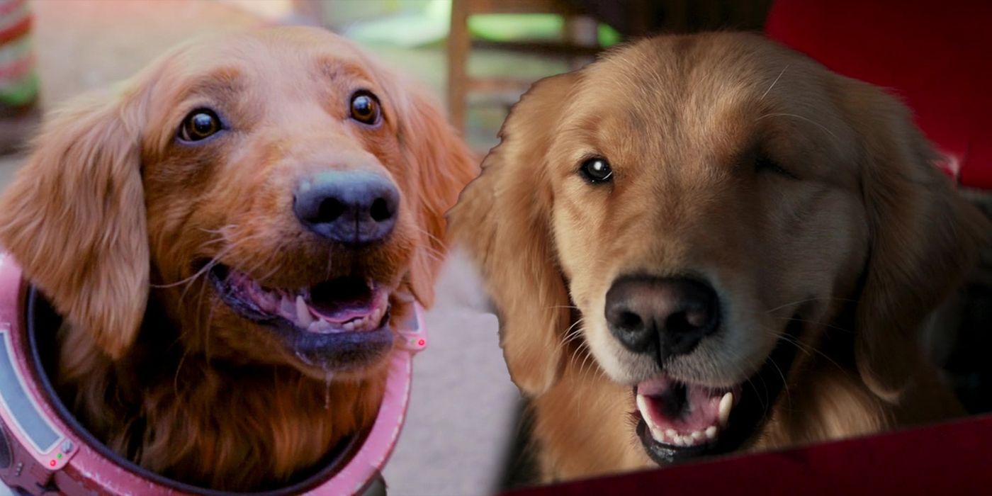 MCU's Cosmo & Lucky the Pizza Dog Meet In Adorable Photo