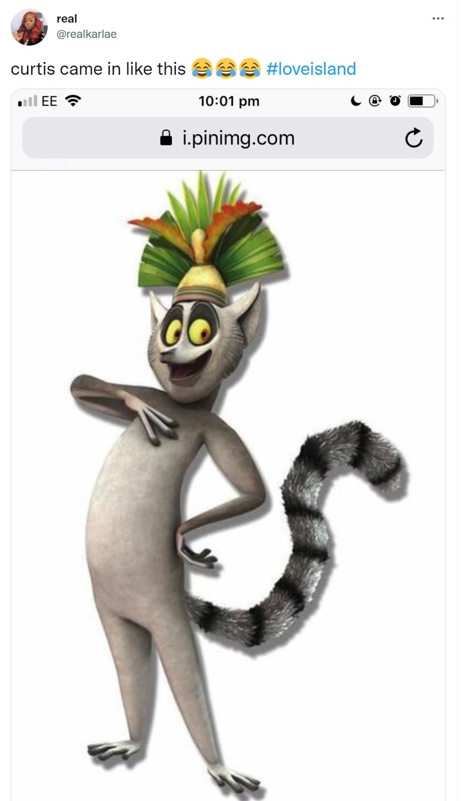 king julien from Madagascar 