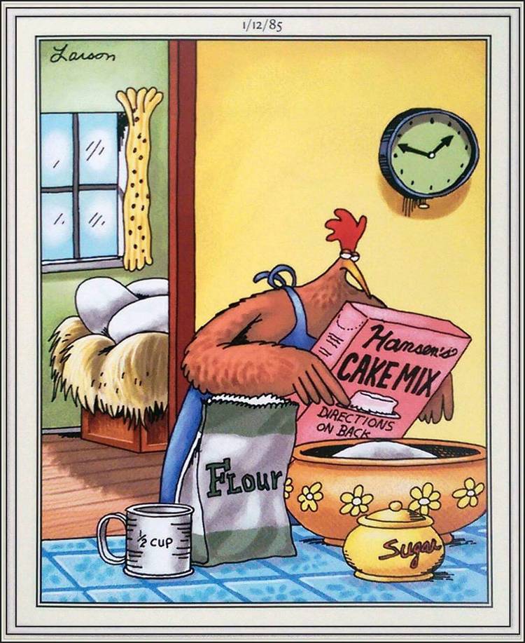 A chicken is making a cake and looking at the directions. She has most of the ingredients but looks back at her own nest of eggs with a suspicious look on her face.
